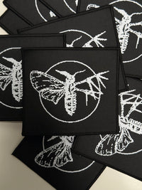 Holding Absence Pixelated Moth